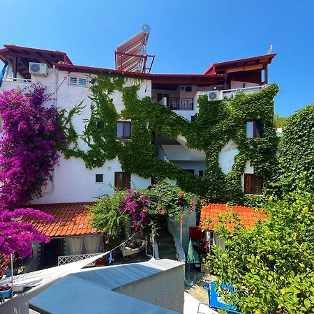 Haus Niko Apartments And Suites Νέα Ποτίδαια Εξωτερικό φωτογραφία