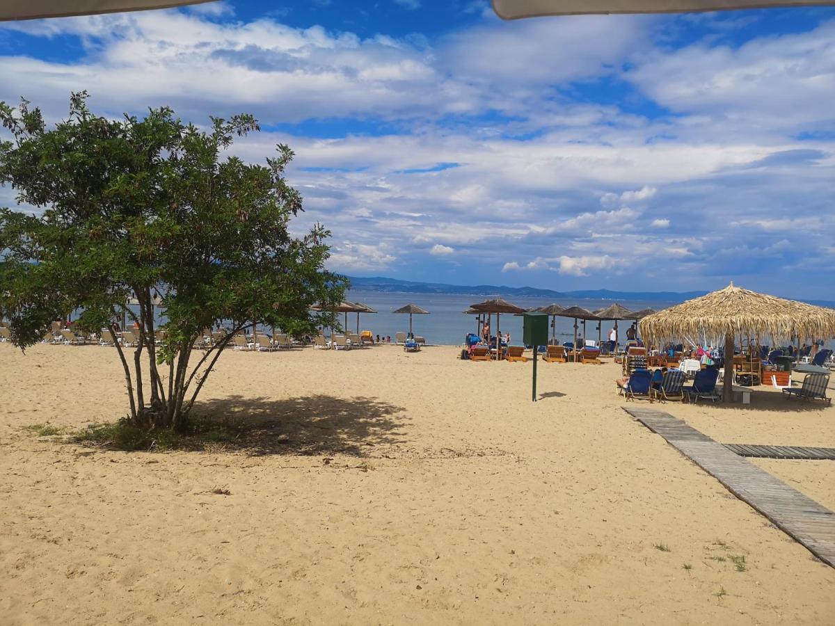 Haus Niko Apartments And Suites Νέα Ποτίδαια Εξωτερικό φωτογραφία