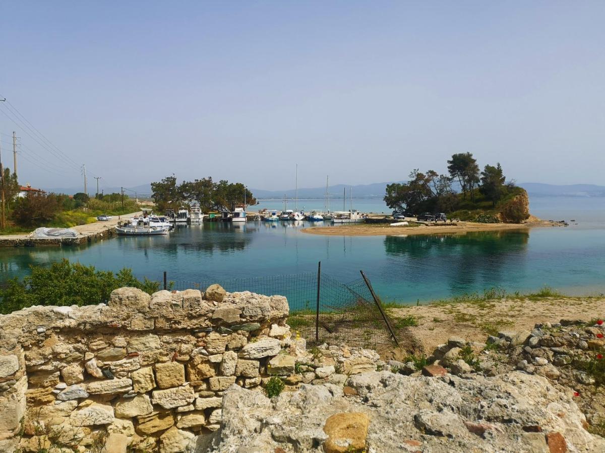 Haus Niko Apartments And Suites Νέα Ποτίδαια Εξωτερικό φωτογραφία