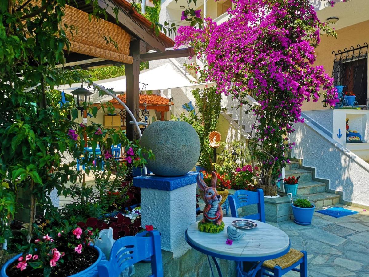Haus Niko Apartments And Suites Νέα Ποτίδαια Εξωτερικό φωτογραφία