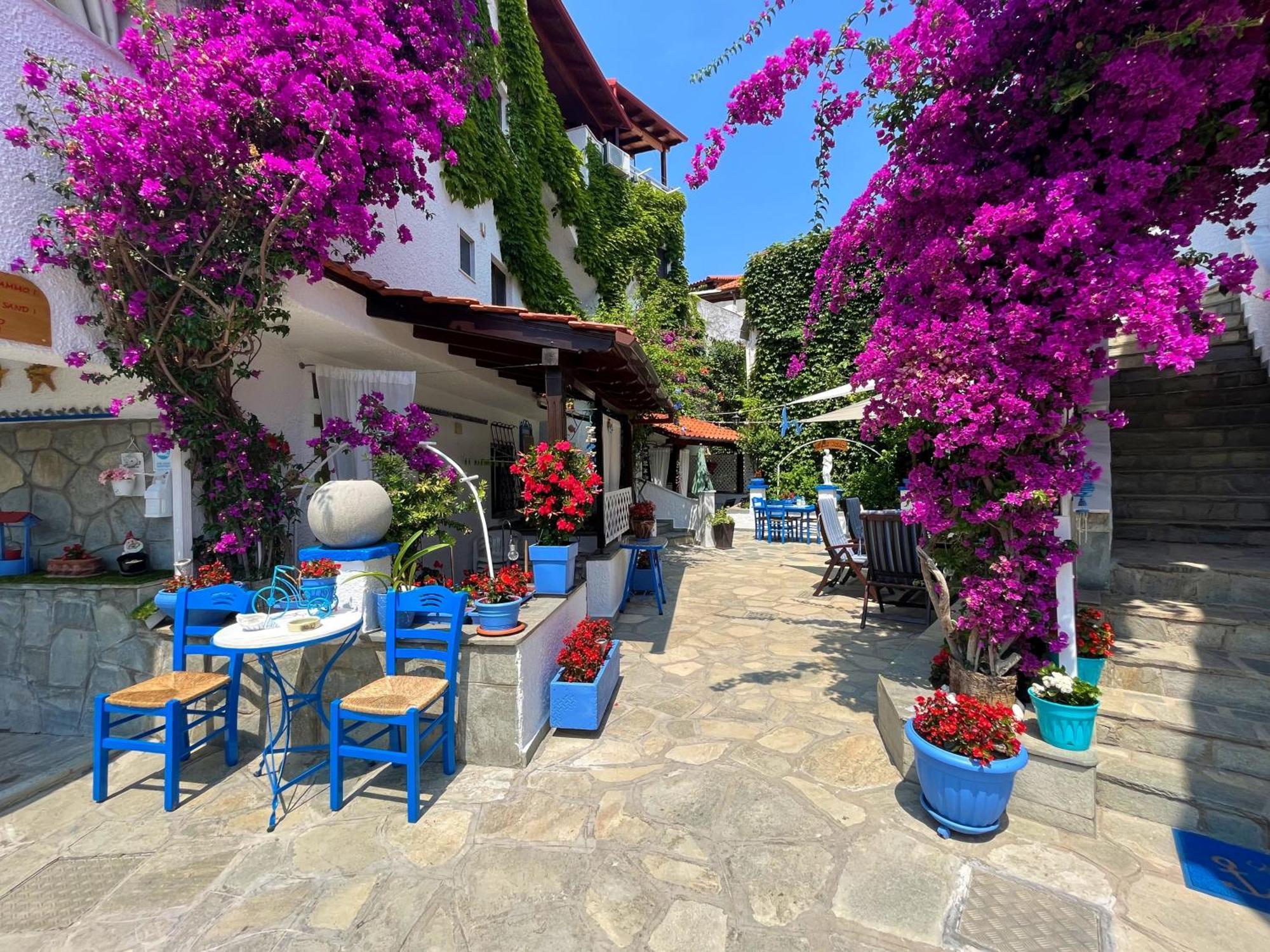 Haus Niko Apartments And Suites Νέα Ποτίδαια Εξωτερικό φωτογραφία
