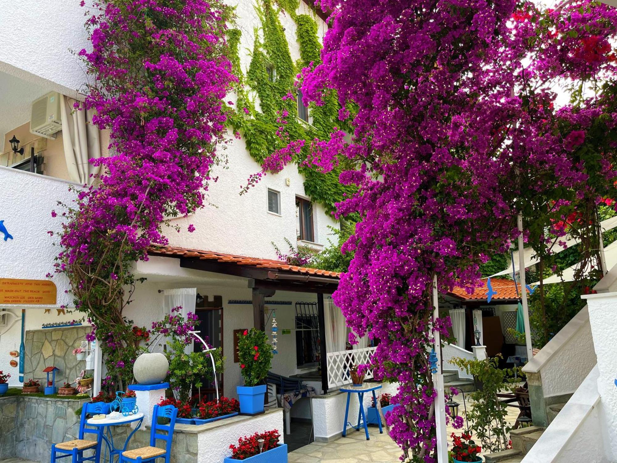 Haus Niko Apartments And Suites Νέα Ποτίδαια Εξωτερικό φωτογραφία